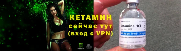 сатива Баксан